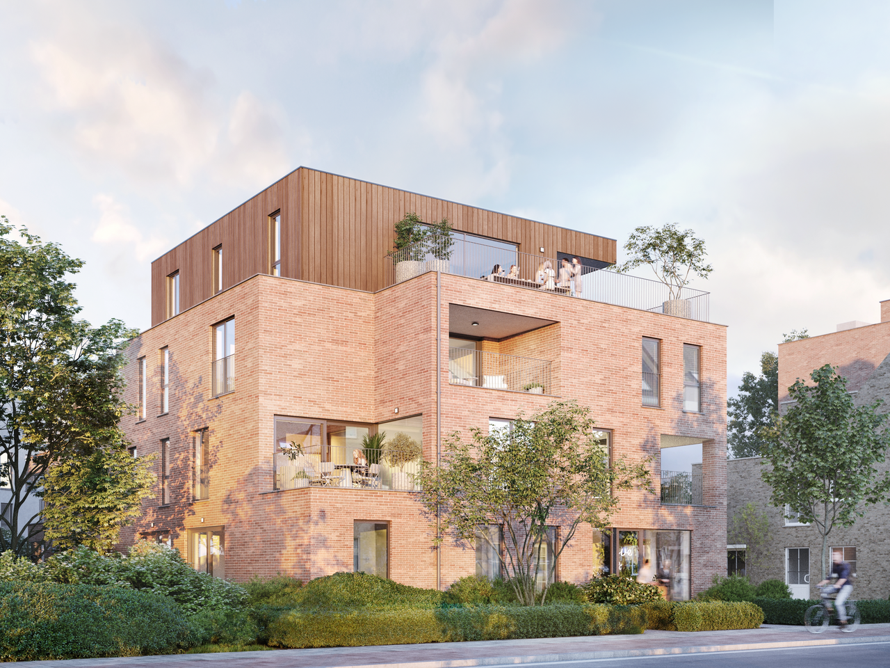 Nieuwbouwproject Ravels, Meiboomlaan, Grote Meiboom