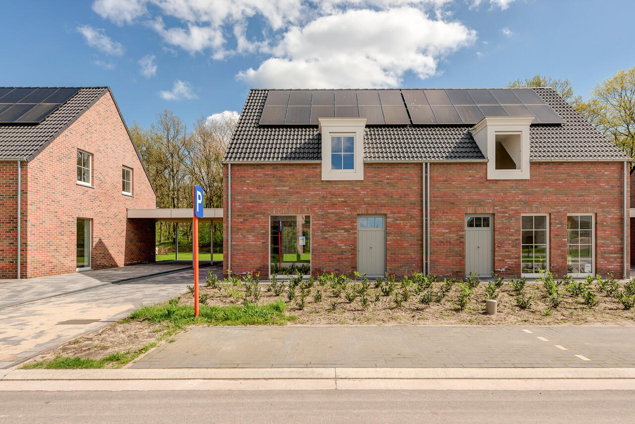 Achteraanzicht nieuwbouwproject met nieuwbouwhuizen in de Pluimvelden Dessel