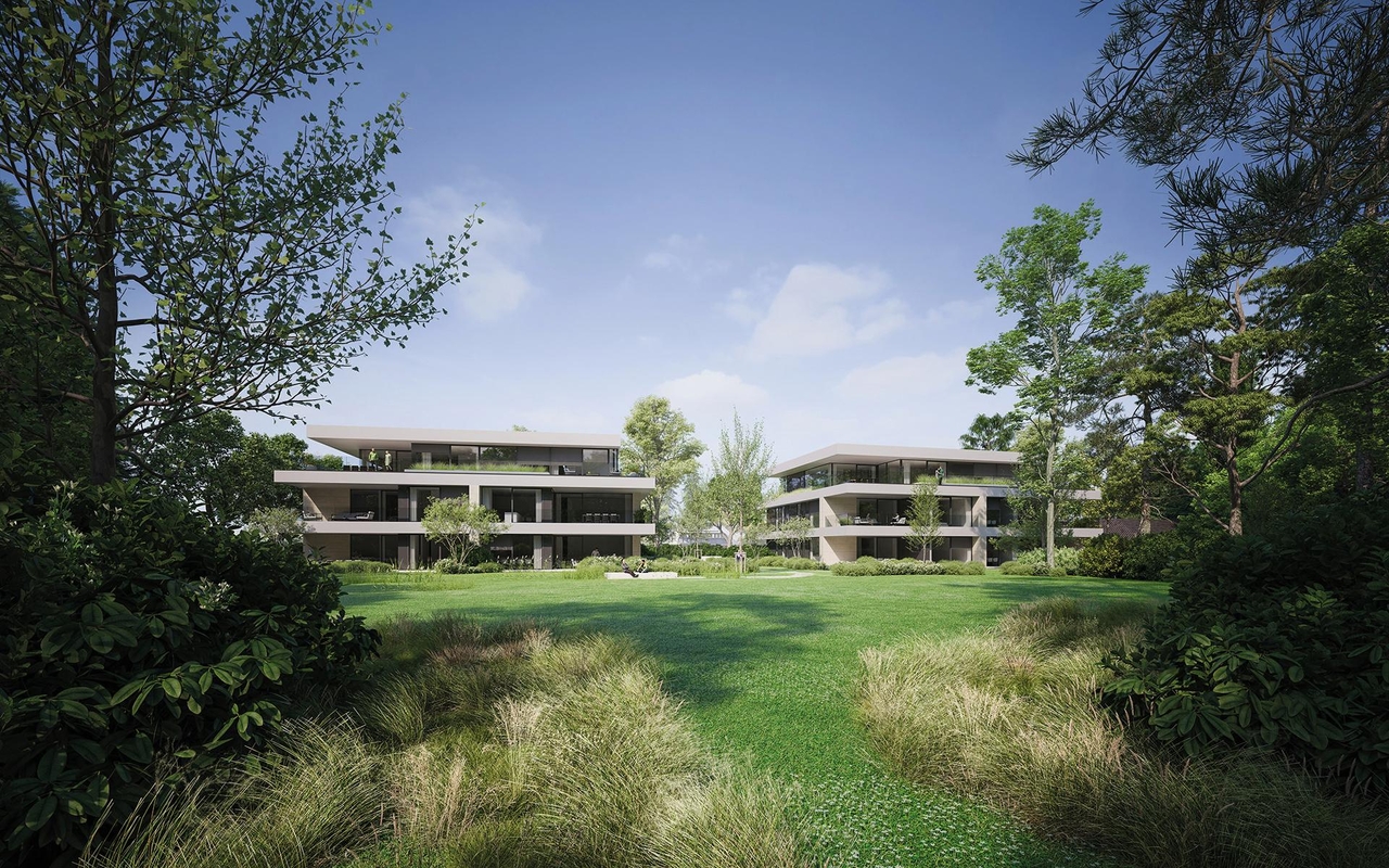 Tuin, domein, hectare, bomen, aangelegde tuin