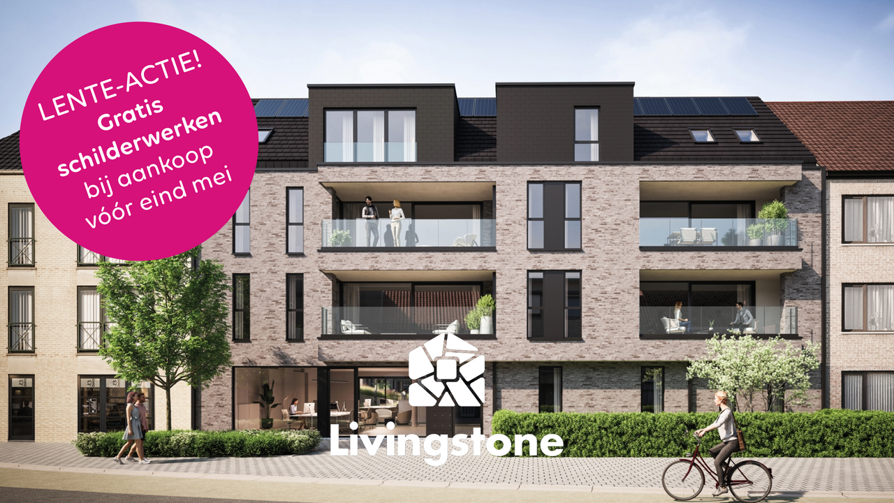 Visualisatie van project Livingstone in Mol