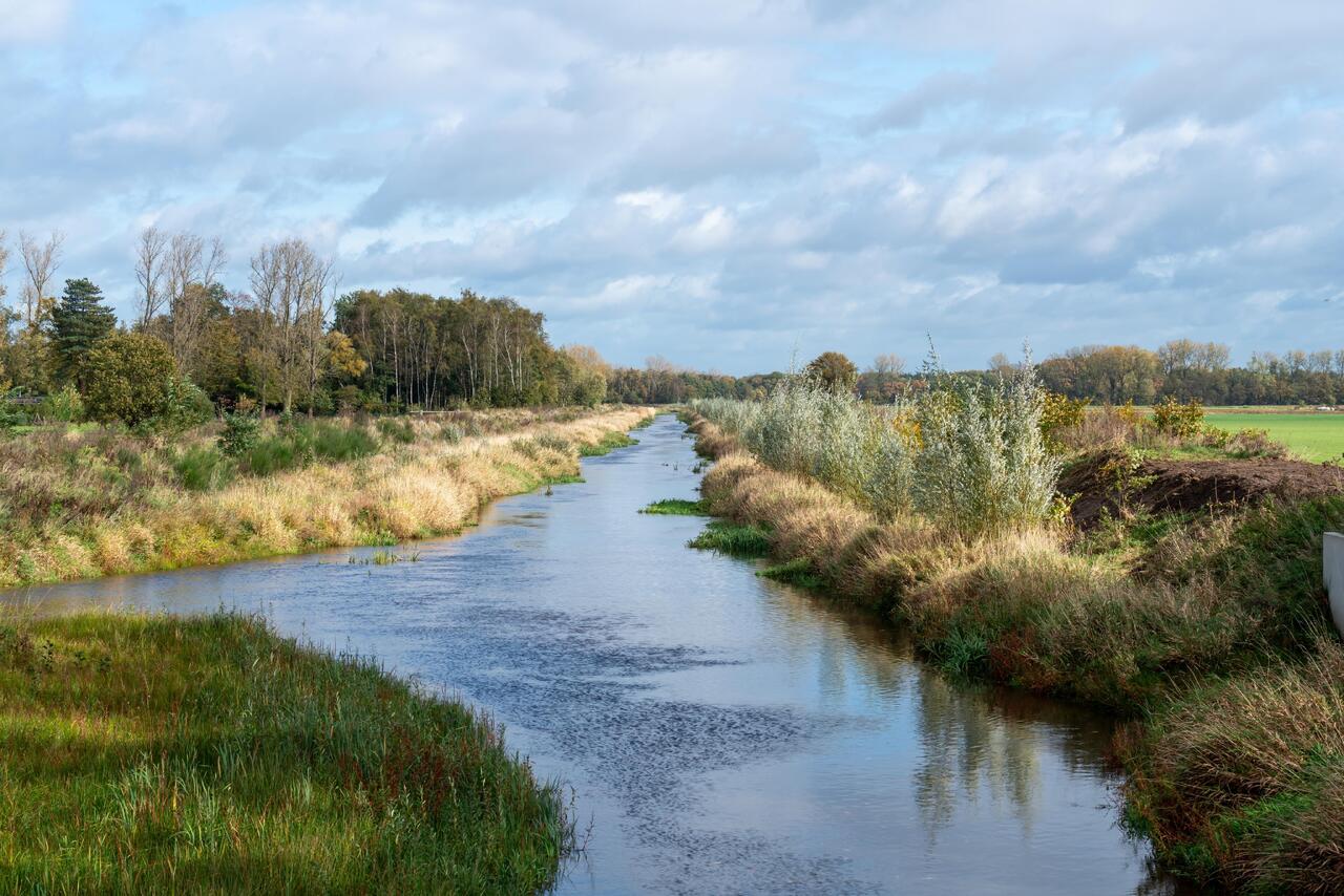 Zicht op kleine Nete in Kasterlee