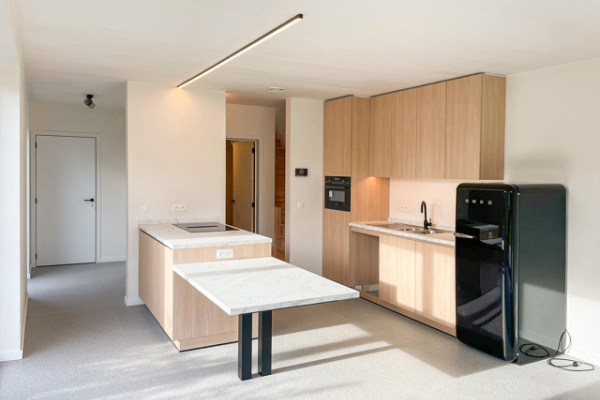 Mol huis