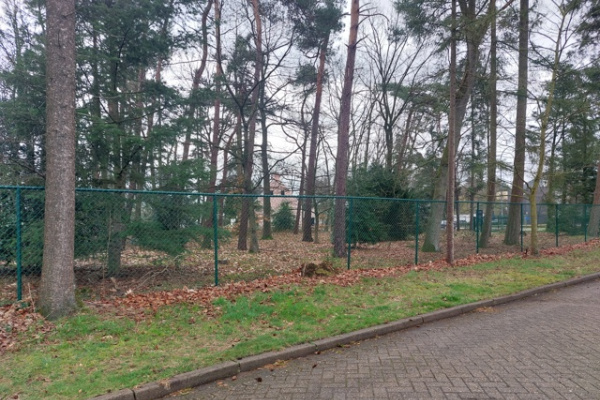 Beerse grond