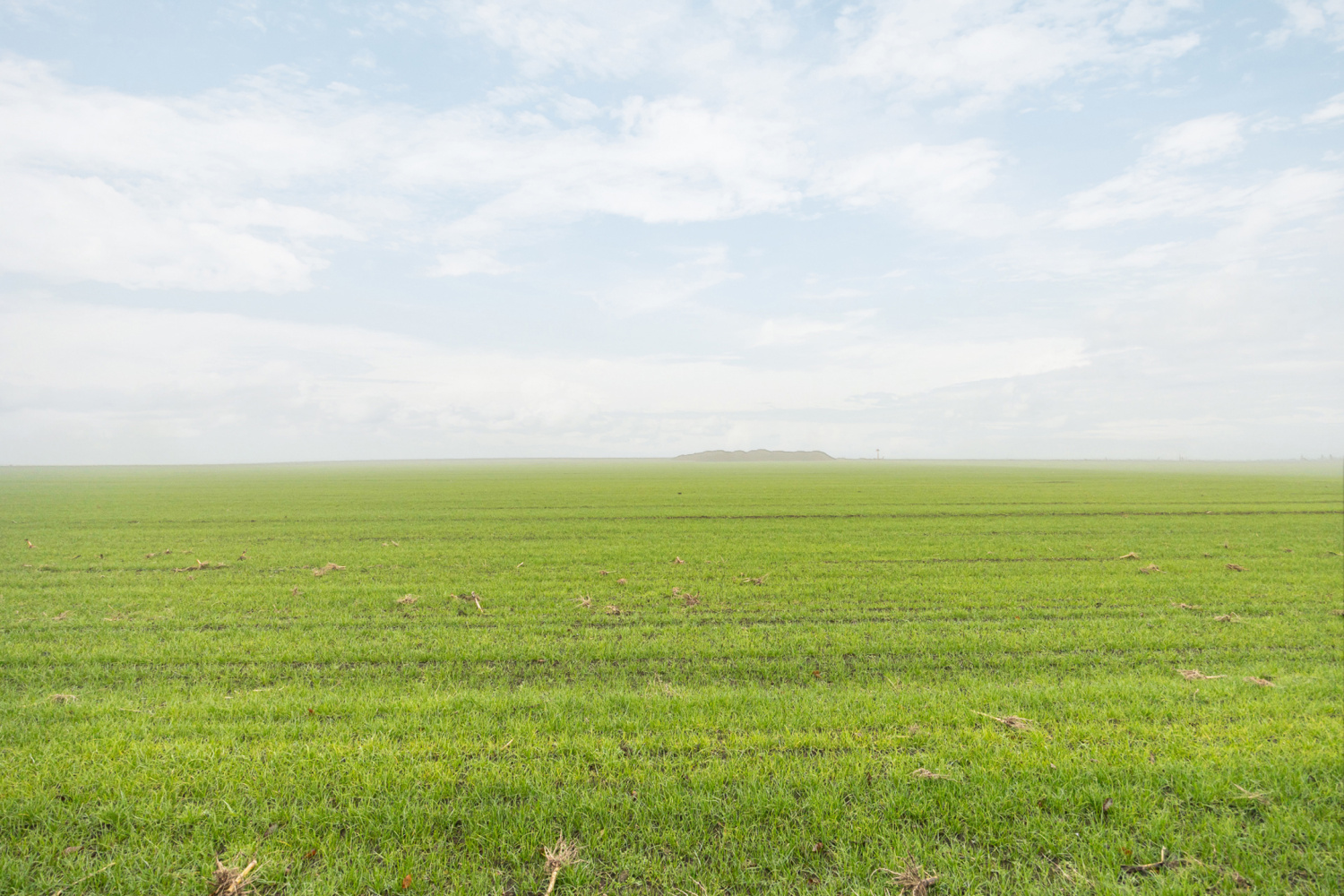te koop huis merksplas steenweg op beerse 87