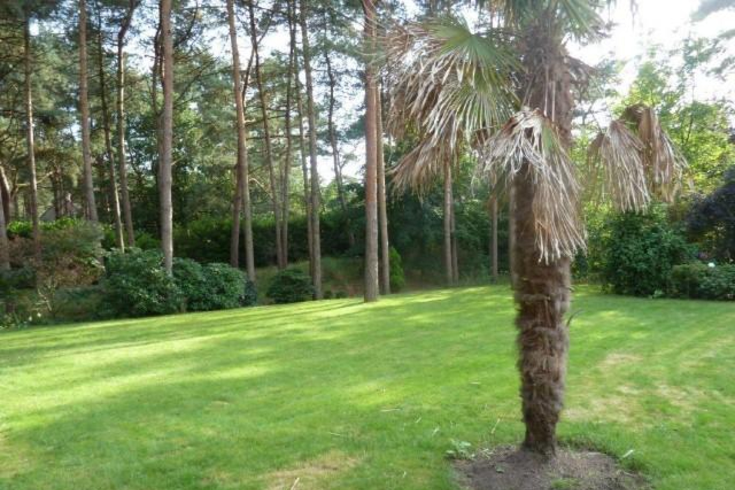 te koop huis vosselaar hoberg 18