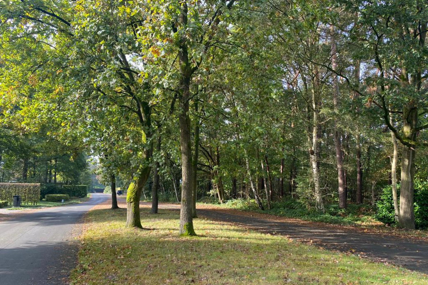 te koop grond mol vareselaan 18