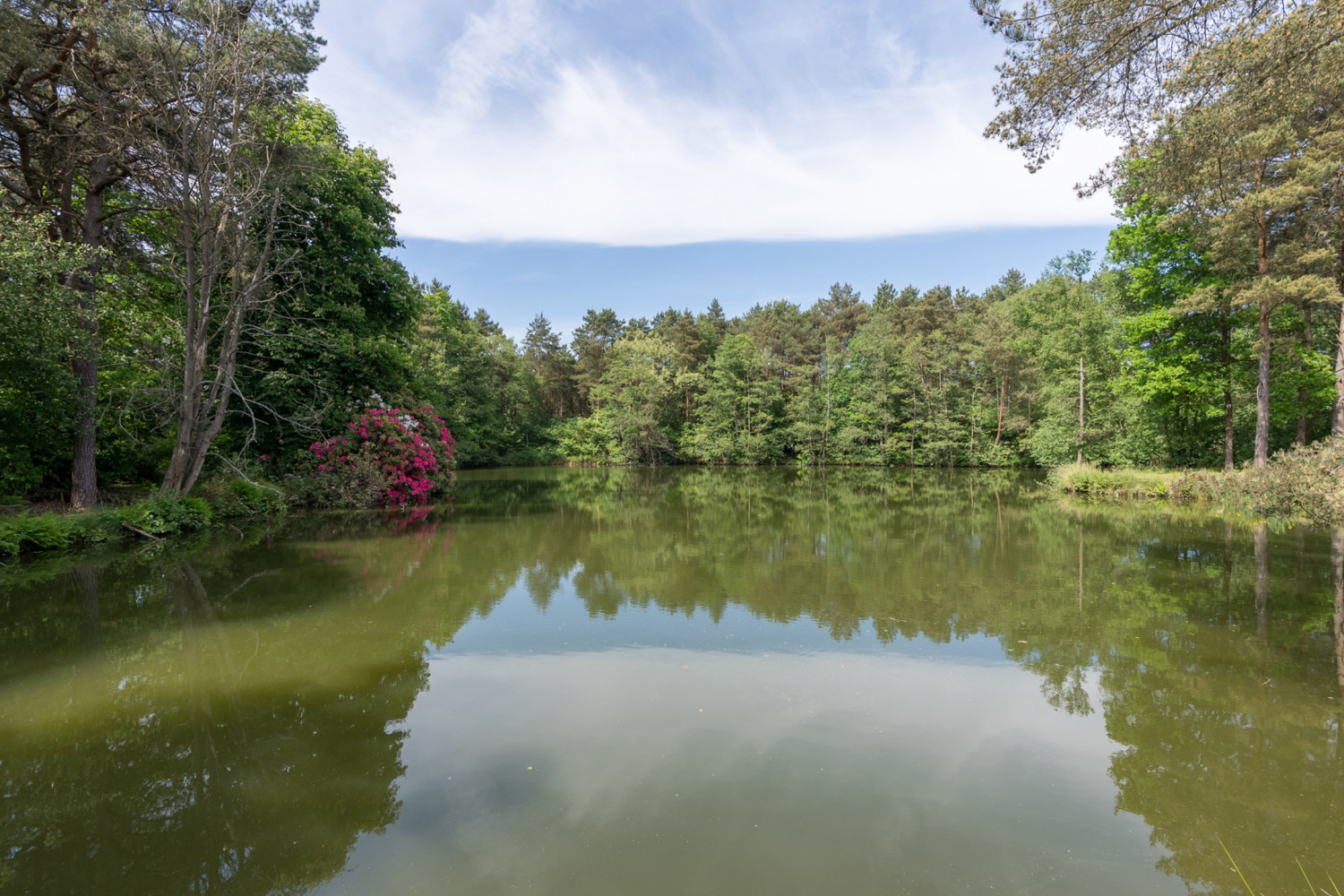 te koop huis mol kasteeldreef 6