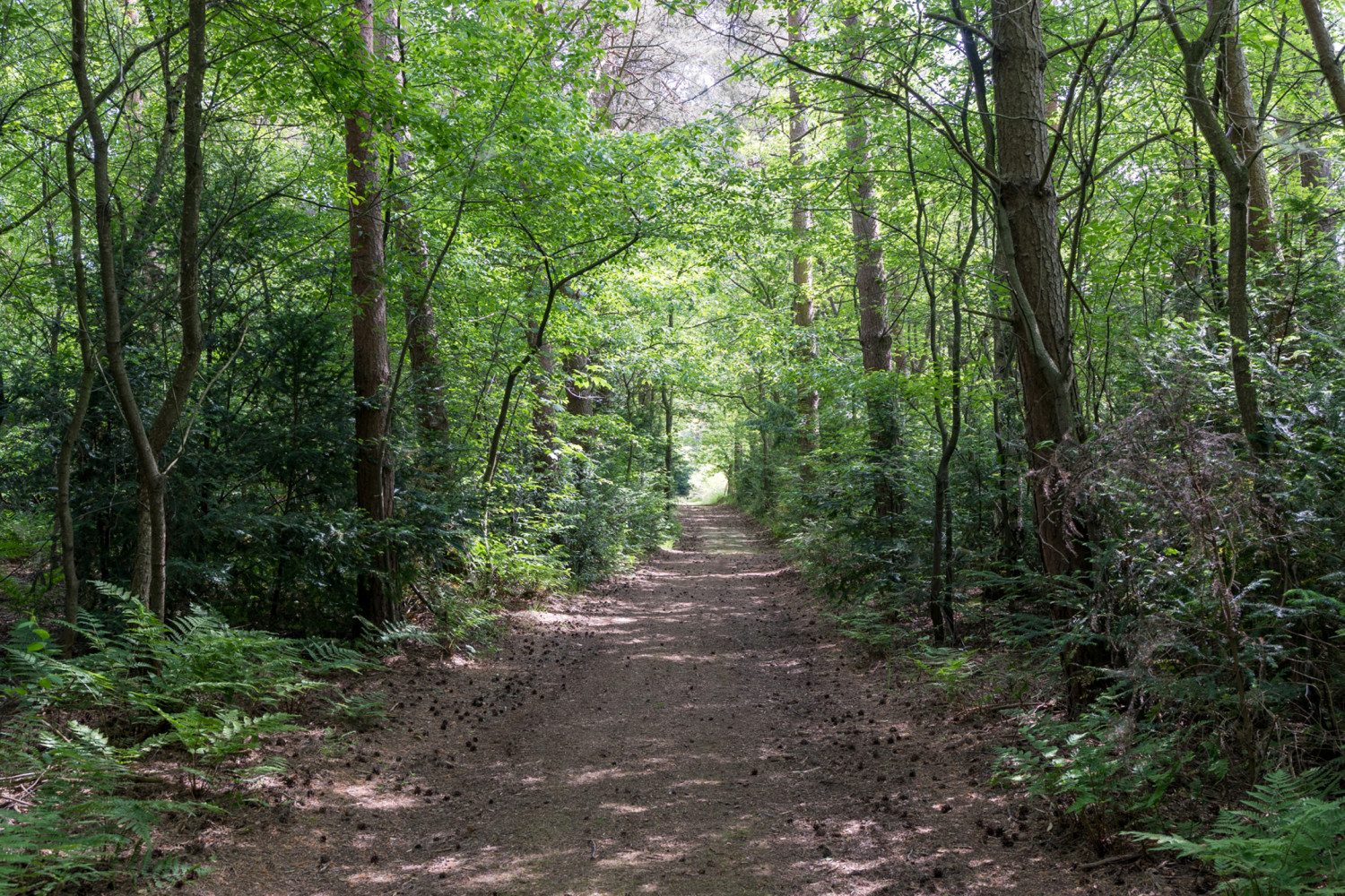 te koop huis mol kasteeldreef 6