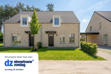 Lille Wechelderzande huis