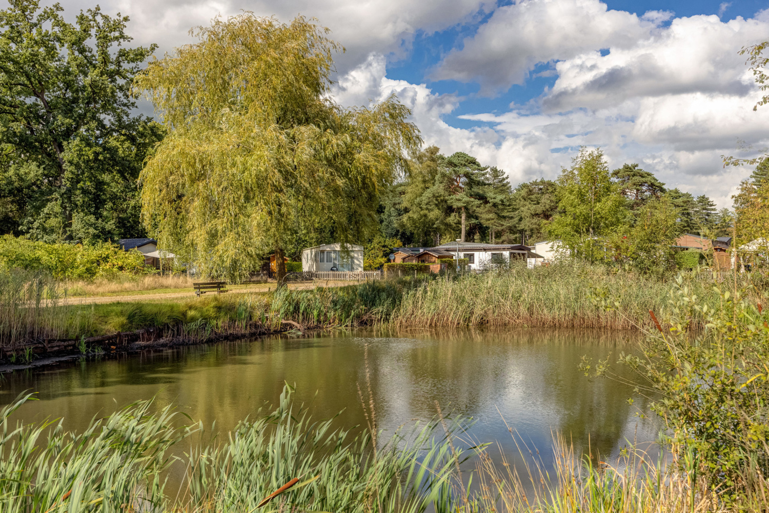 te koop huis kasterlee olensteenweg 40