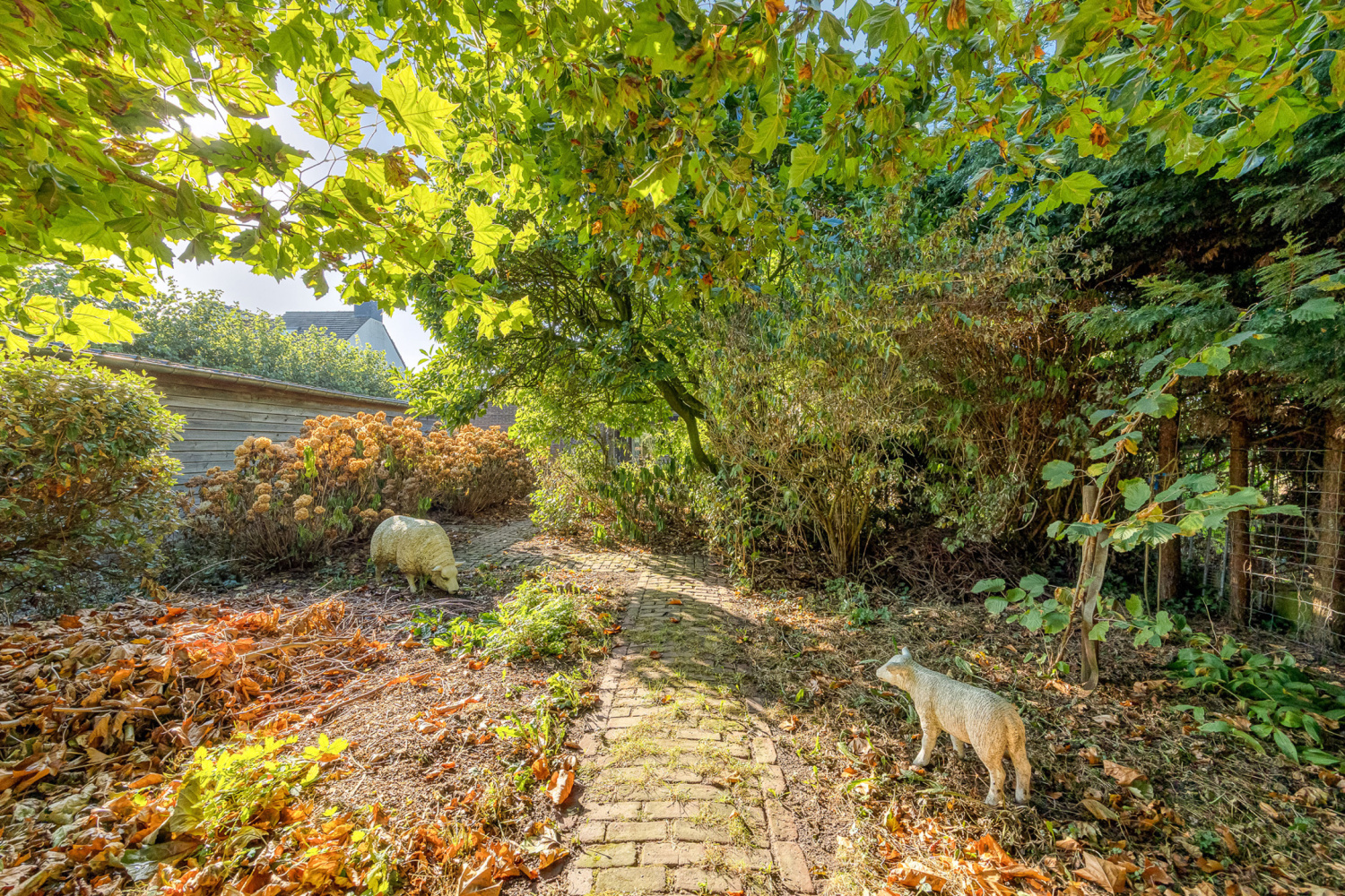 te koop huis ravels weelde oude kerkweg 24