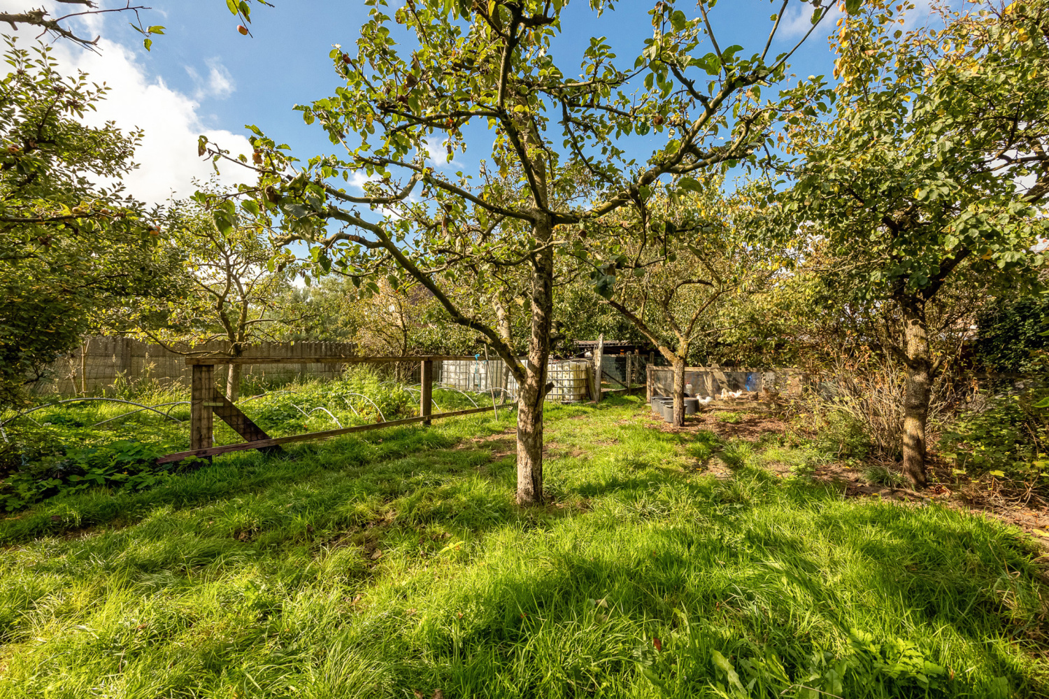 te koop huis herentals morkhovenseweg 4