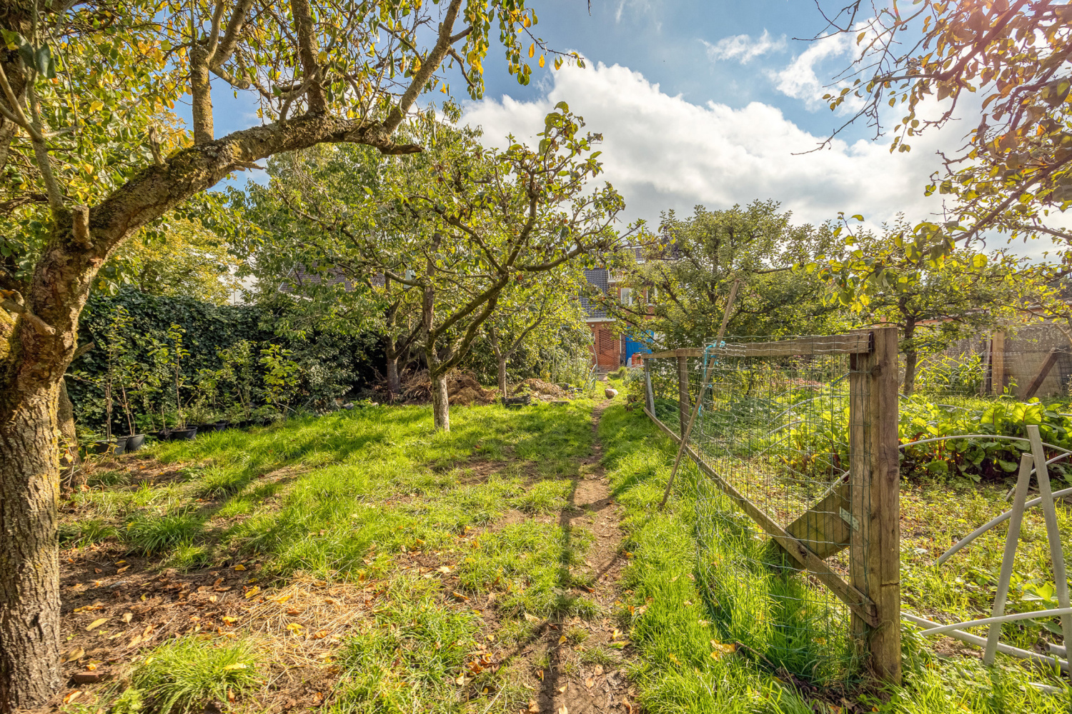 te koop huis herentals morkhovenseweg 4