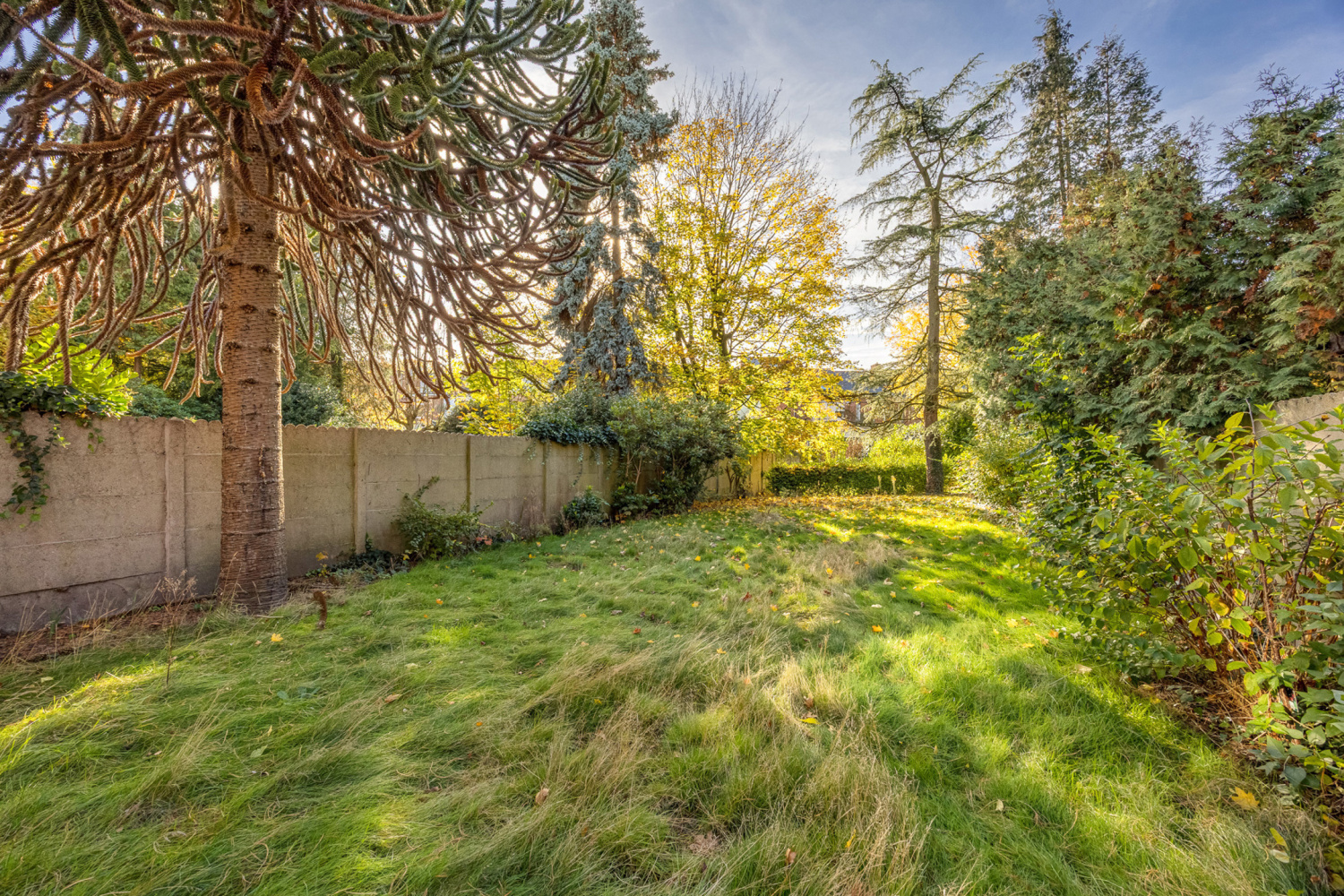 te koop huis turnhout driezenstraat 20