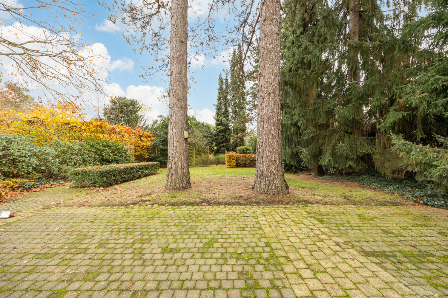 te koop huis mol hemelrijkstraat 130