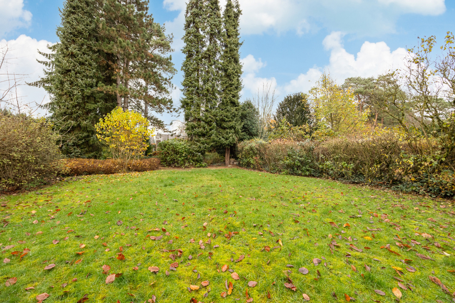 te koop huis mol hemelrijkstraat 130