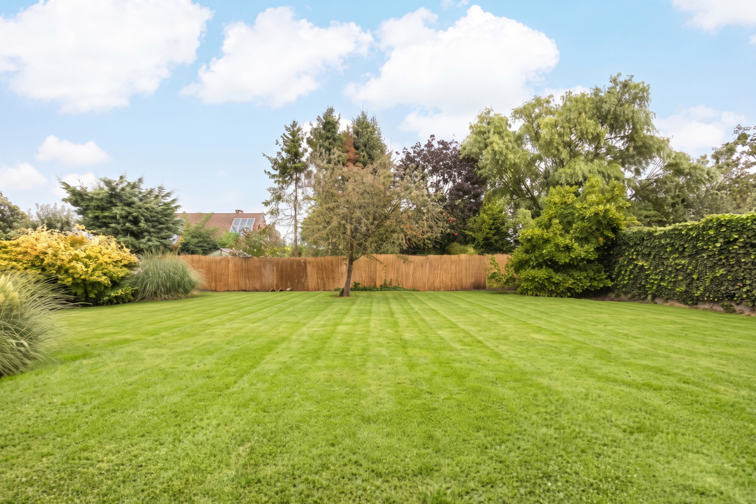 te koop huis hoogstraten kleine plaats 1 - afbeelding 44