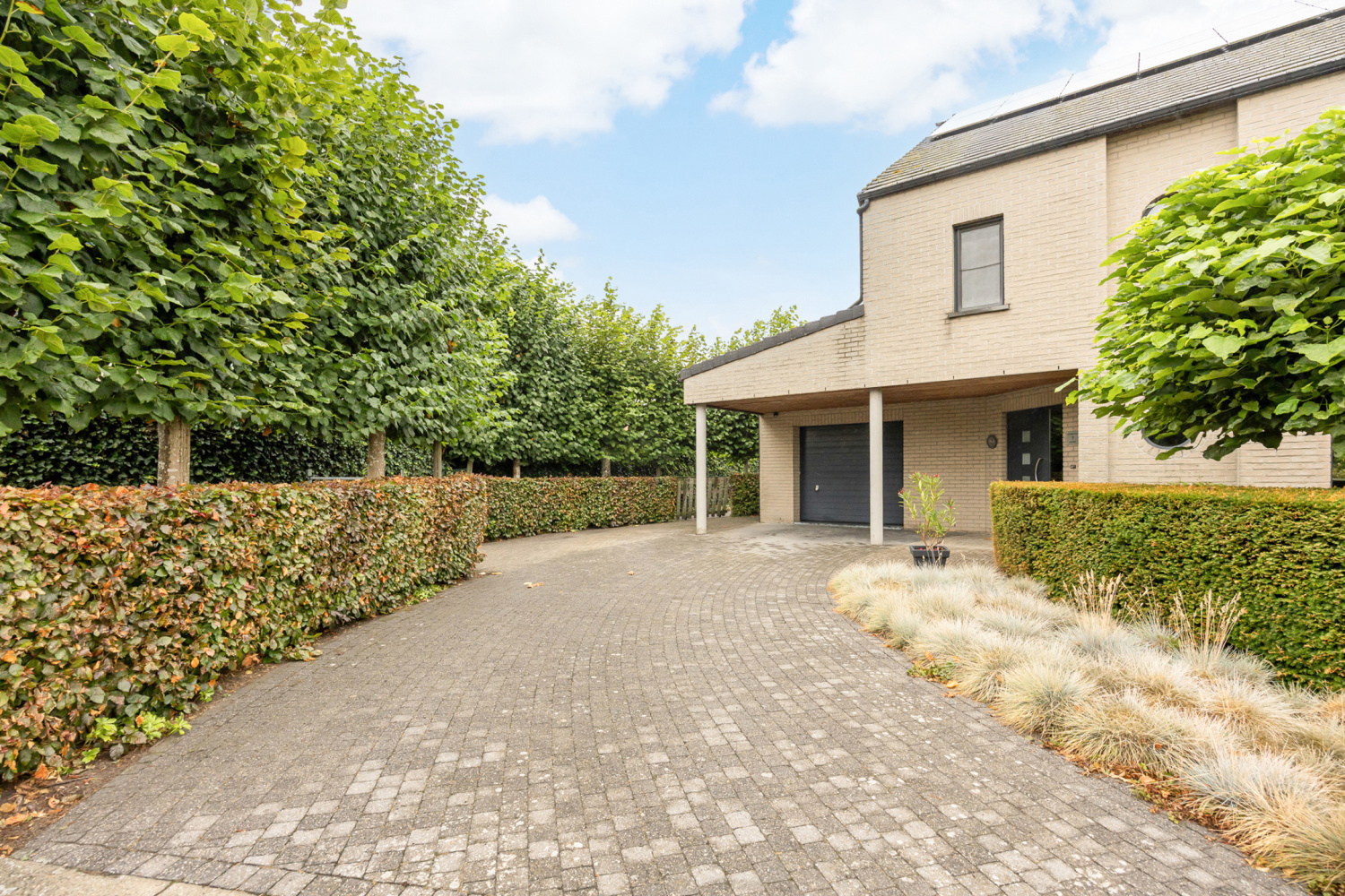 te koop huis hoogstraten kleine plaats 1 - afbeelding 47
