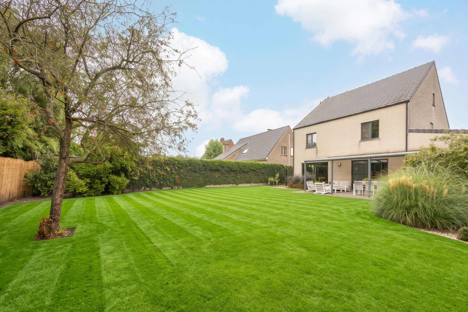 te koop huis hoogstraten kleine plaats 1 - afbeelding 5