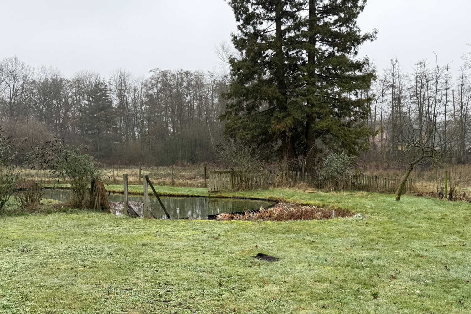 te huur huis merksplas steenweg op zondereigen 31 1