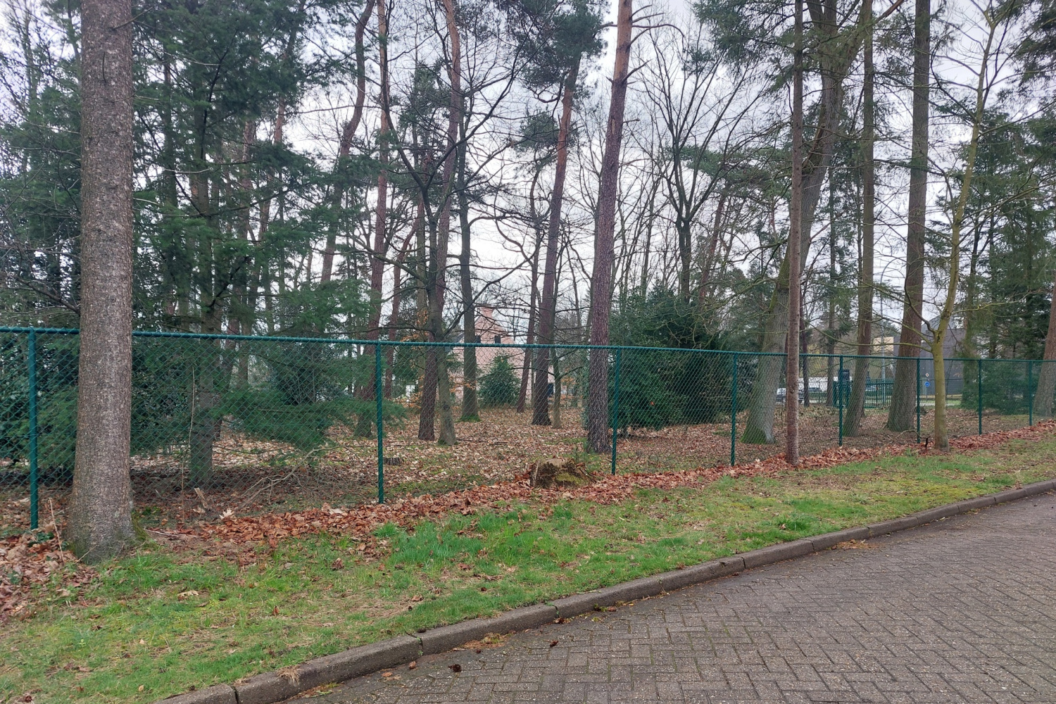 te koop grond beerse taxandrialaan