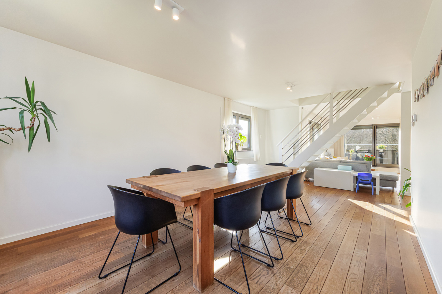 te koop appartement kasterlee duineneind 12 6