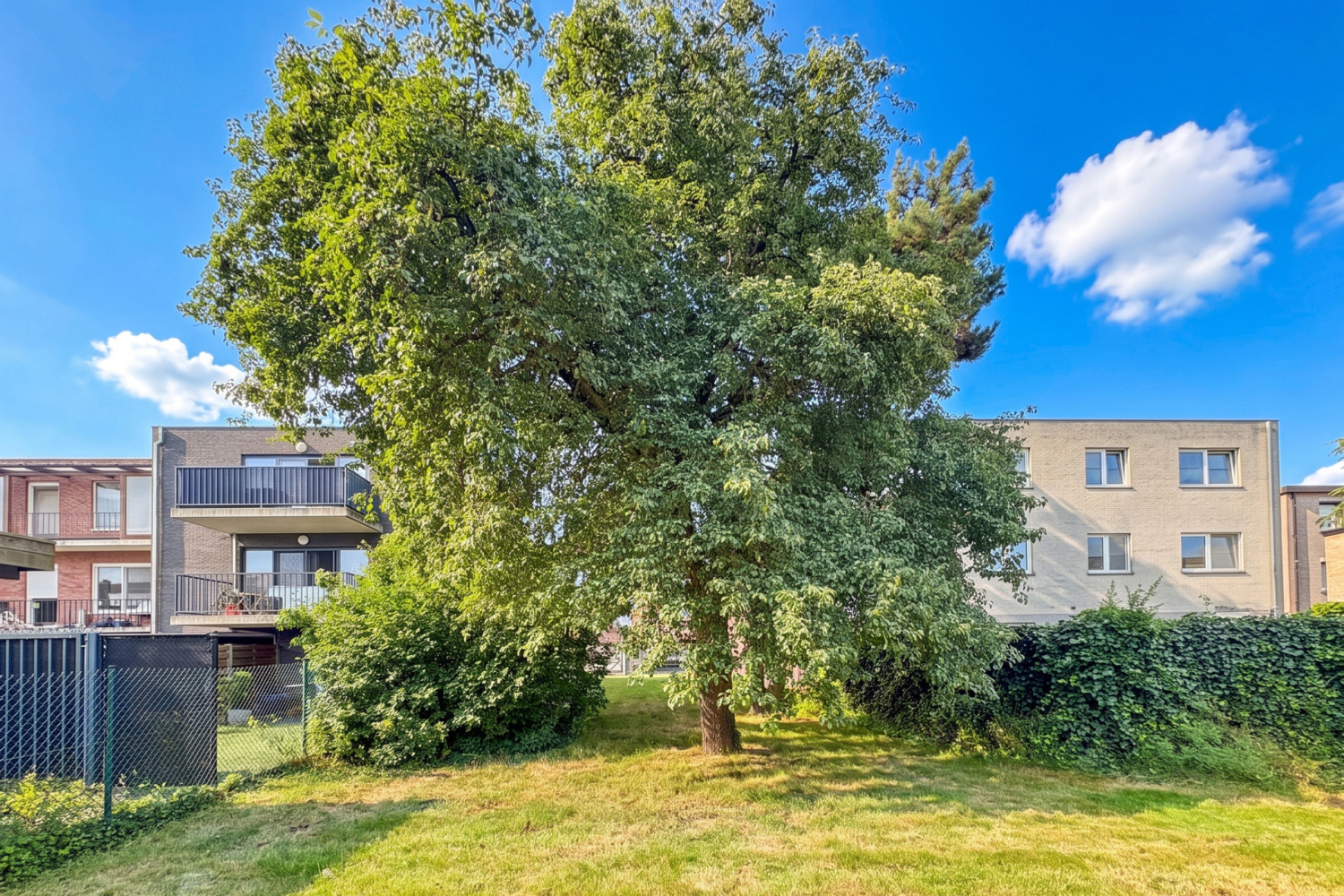 te koop grond turnhout molenbergstraat 9 - afbeelding 6
