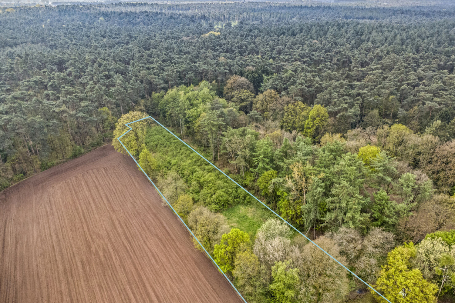 te koop grond kasterlee lichtaart boervenneweg