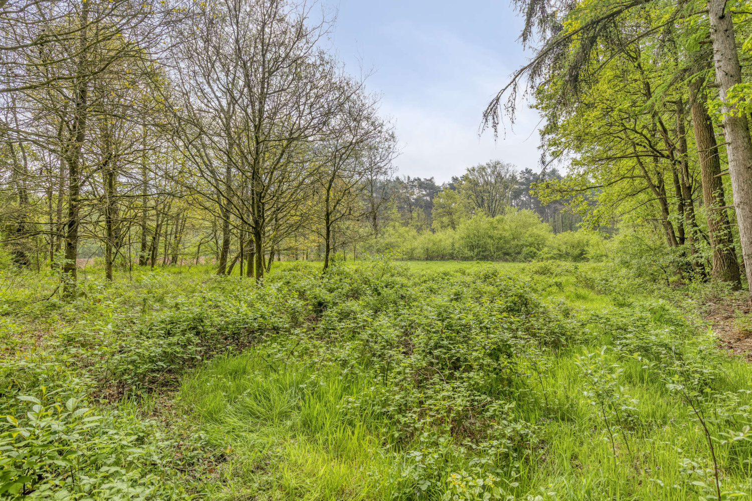 te koop grond kasterlee lichtaart boervenneweg