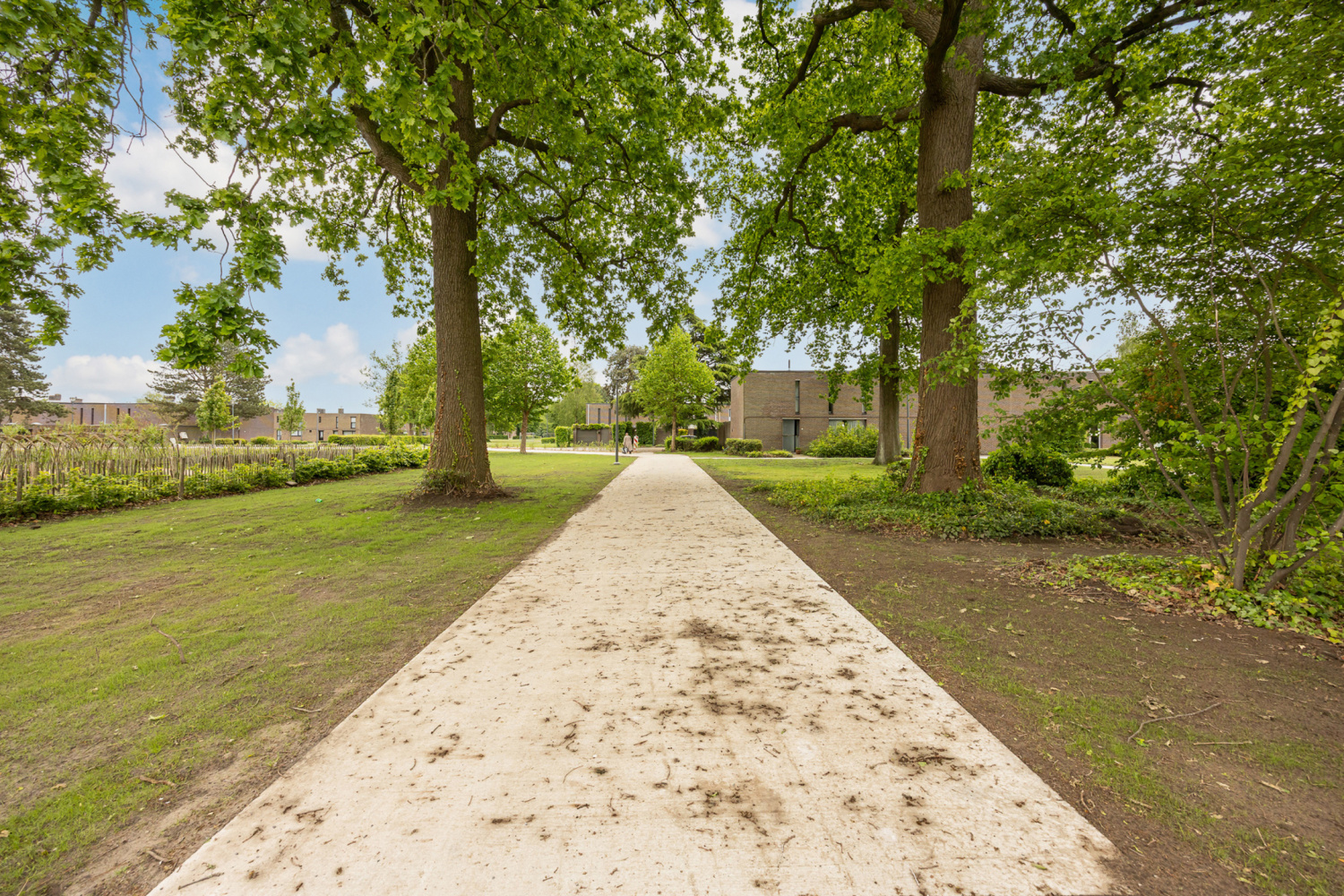 te koop commercieel turnhout lode peetersplantsoen 2