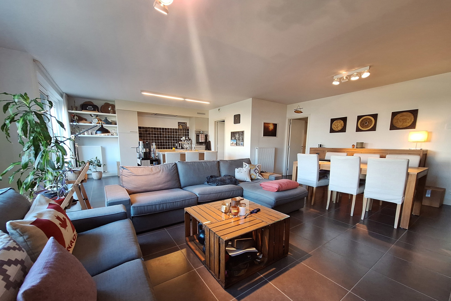 te huur appartement grobbendonk troon 2 4