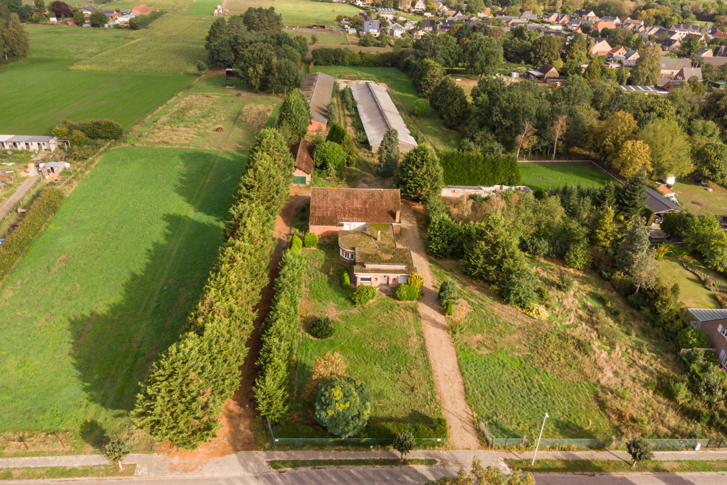 te koop huis zandhoven torenstraat 49 - afbeelding 19