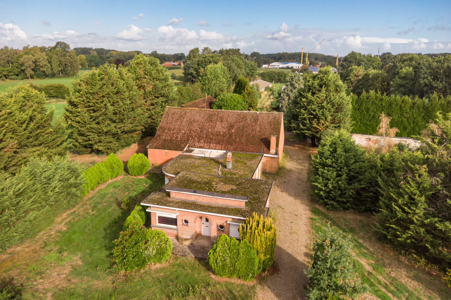 te koop huis zandhoven torenstraat 49 - afbeelding 15