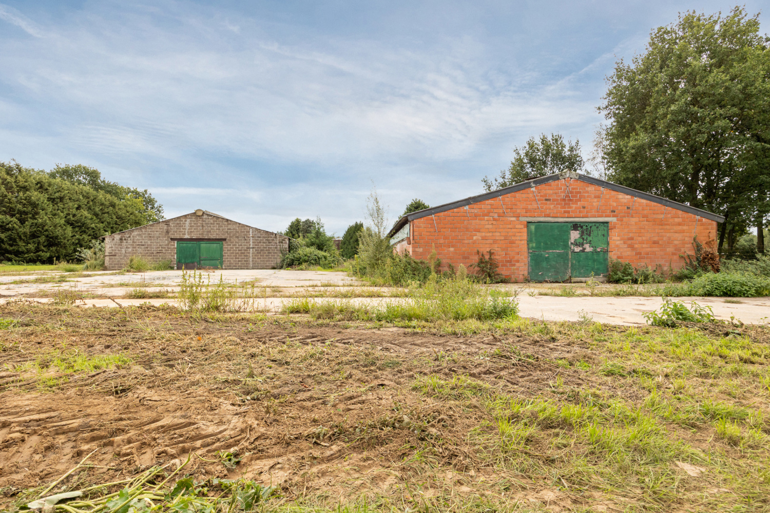 te koop huis zandhoven torenstraat 49 - afbeelding 20