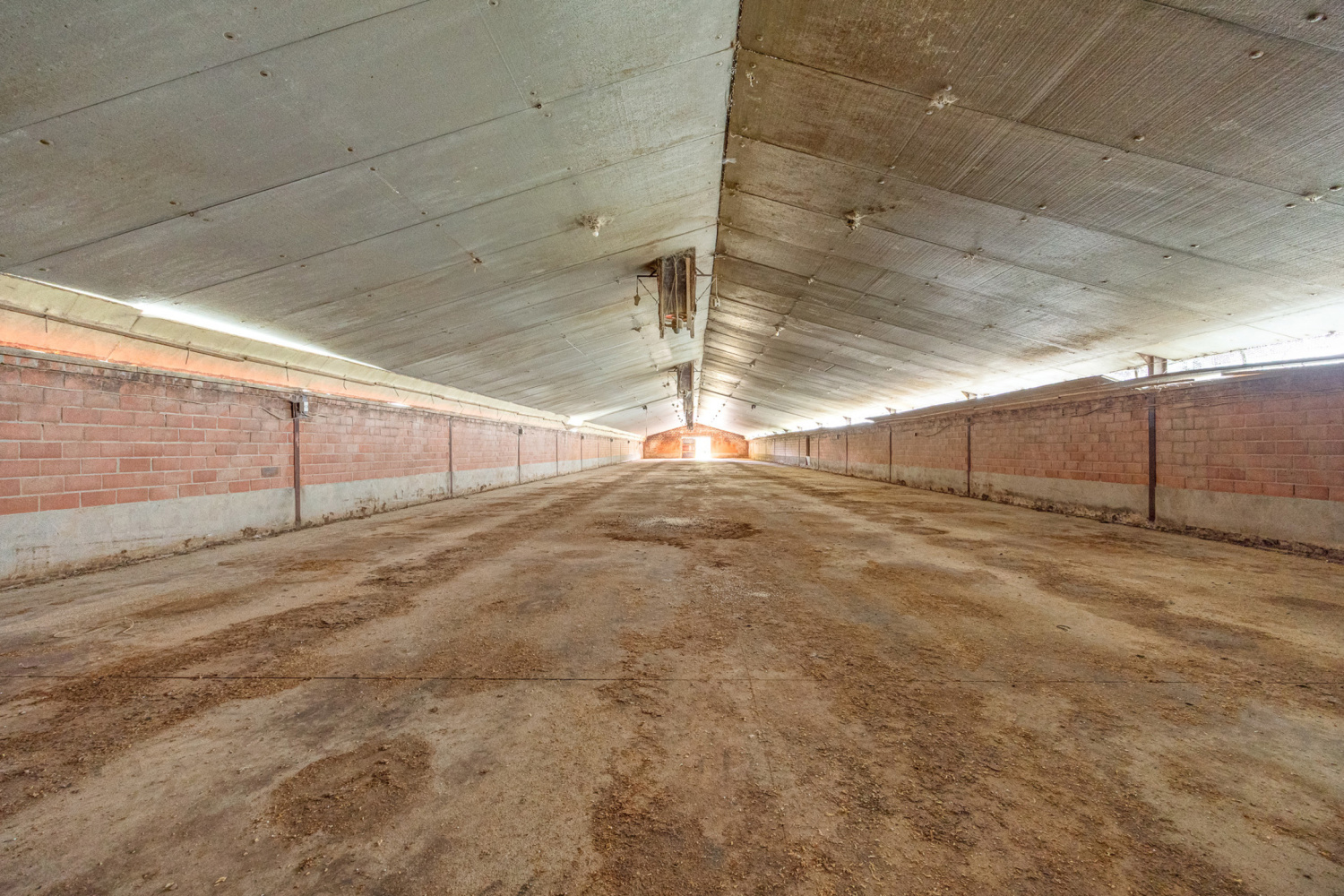 te koop huis zandhoven torenstraat 49 - afbeelding 22