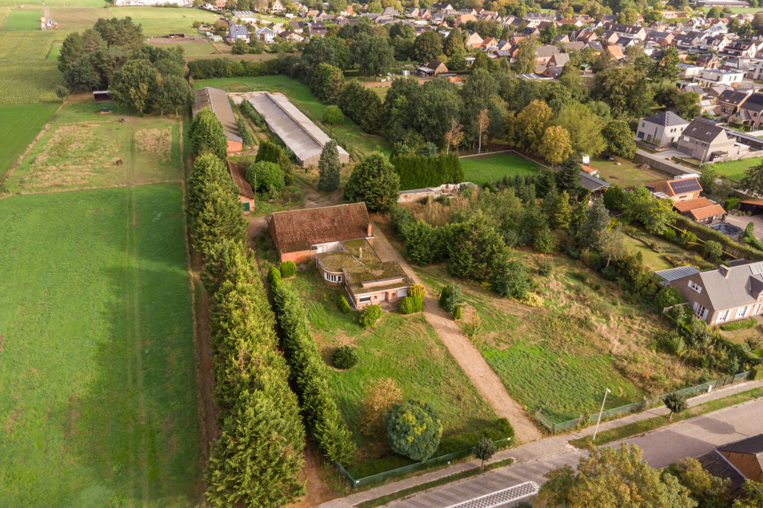 te koop huis zandhoven torenstraat 49 - afbeelding 1