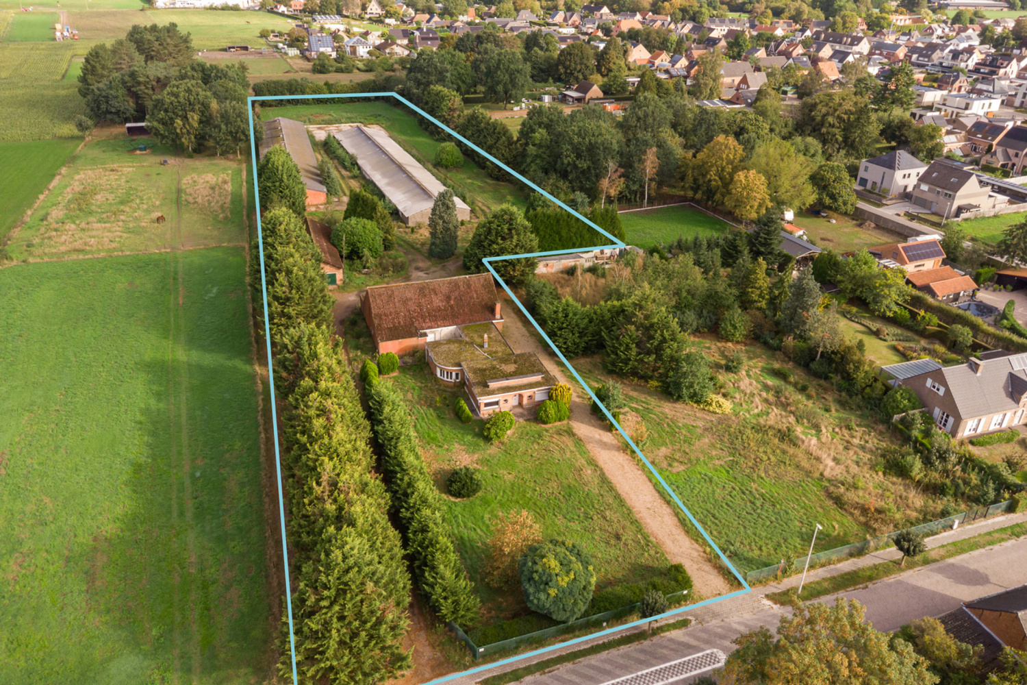 te koop huis zandhoven torenstraat 49 - afbeelding 1