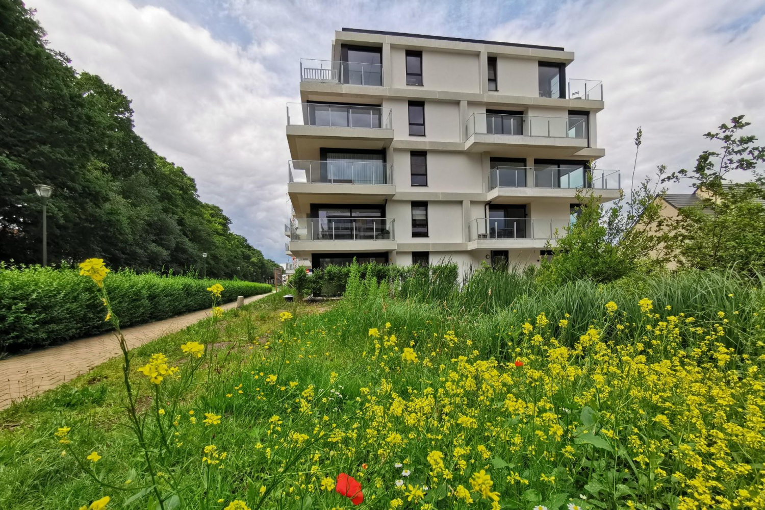 te huur appartement turnhout sleedoorn 1 12 - afbeelding 20