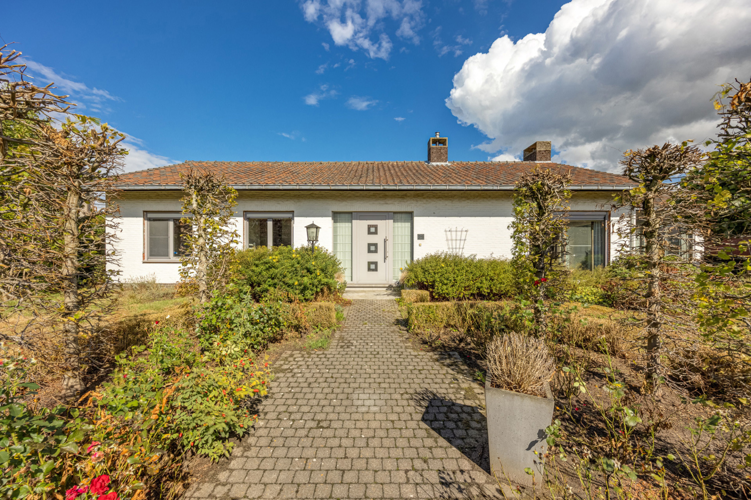te koop huis ravels molenzicht 29 - afbeelding 1