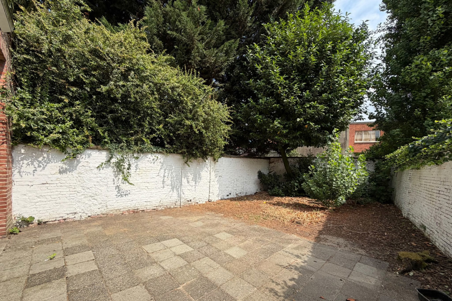 te huur commercieel turnhout leopoldstraat 28 - afbeelding 7