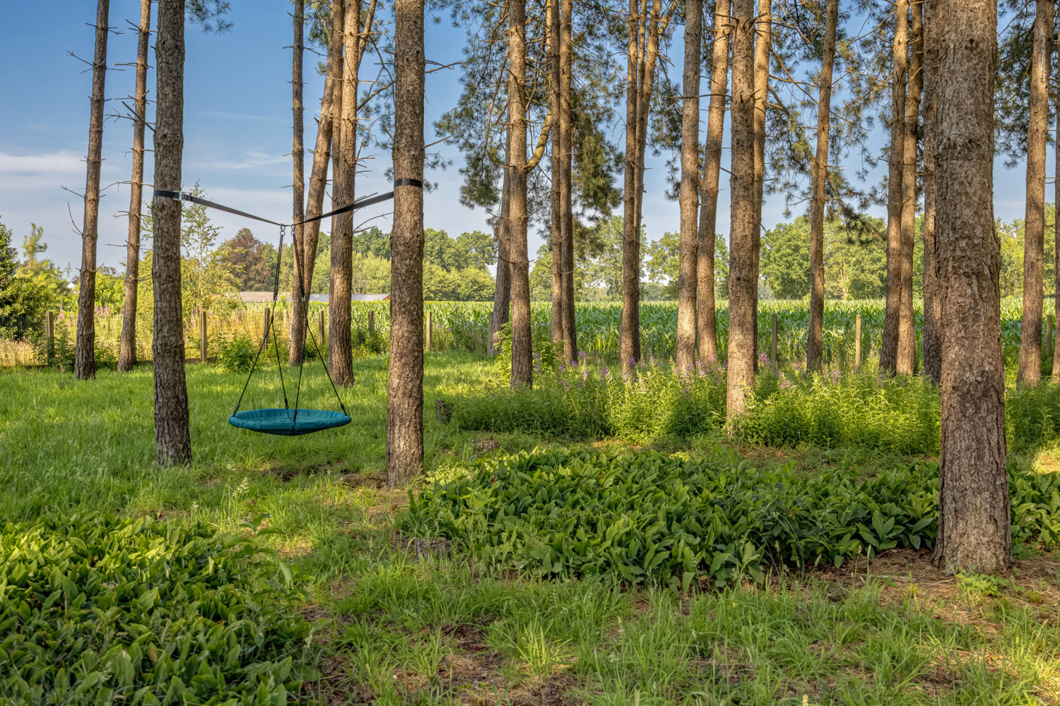 te koop huis lille middelveld 30 - afbeelding 51
