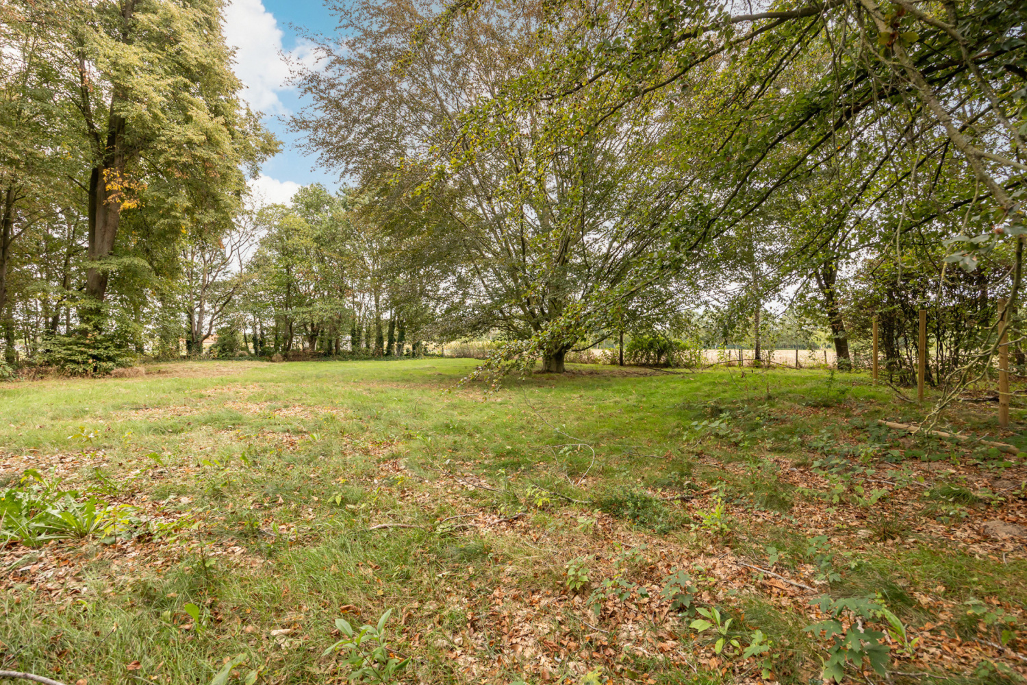 te koop huis geel liessel 30 - afbeelding 21