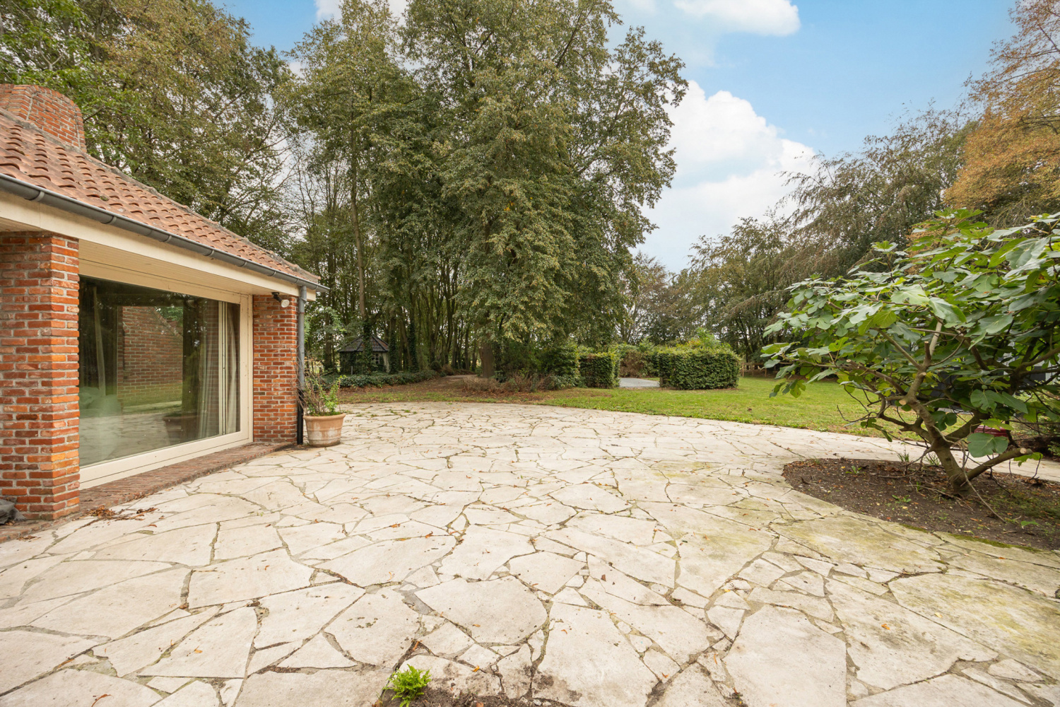 te koop huis geel liessel 30 - afbeelding 17