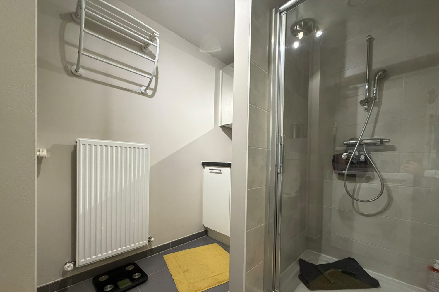 te huur appartement geel antwerpseweg 146 3 7809892 - afbeelding 5