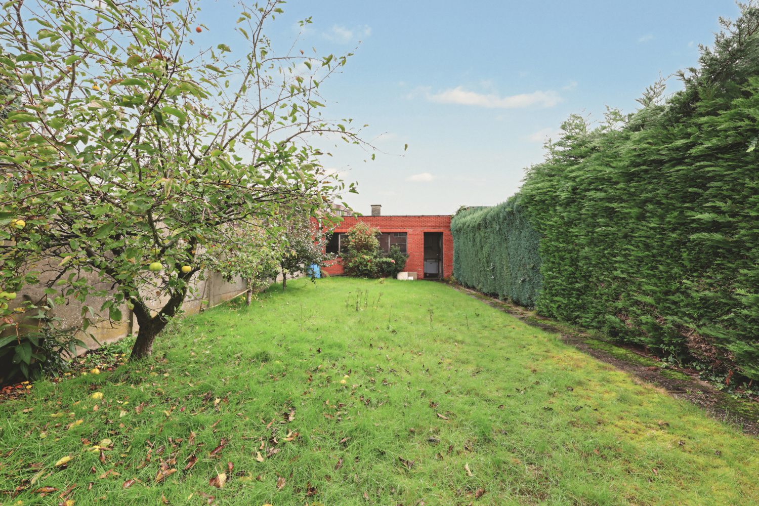 te koop huis turnhout ieperstraat 161 - afbeelding 23