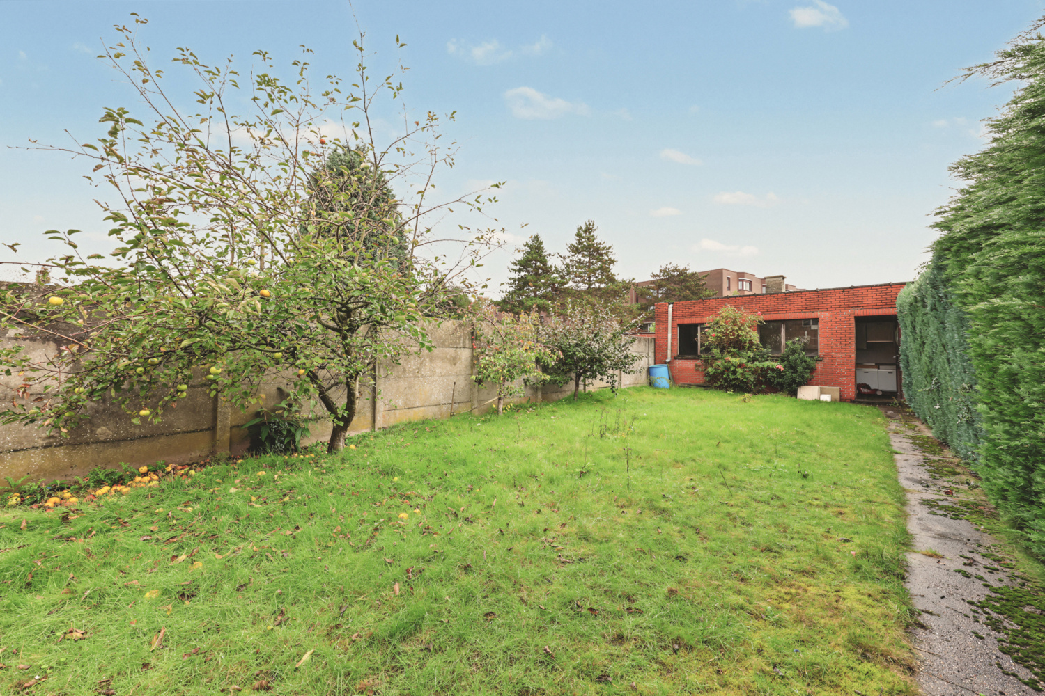 te koop huis turnhout ieperstraat 161 - afbeelding 5
