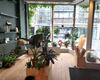 te huur commercieel turnhout herentalsstraat 12