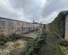 te huur huis geel 61a dr van de perrestraat 61a geel
